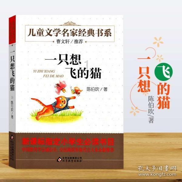 骑士的侍从
